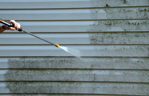 Best Roof Washing  in North Kingsville, OH